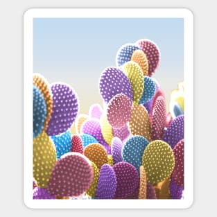 Pastel Cactus: Surreal photo in bright confetti colors Sticker